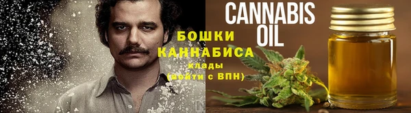 СК Инта
