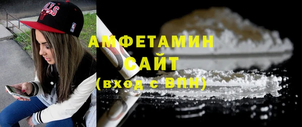 гидра Инсар
