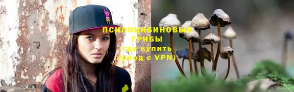 СК Инта