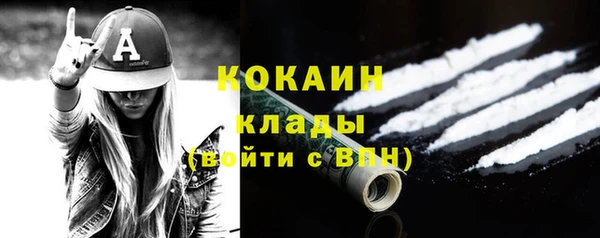 СК Инта