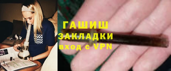 гидра Инсар