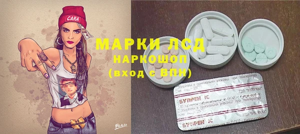 СК Инта