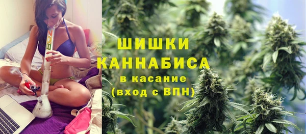 СК Инта