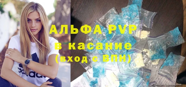 СК Инта