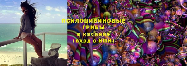 твердый Иннополис