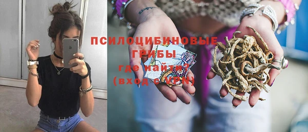 СК Инта