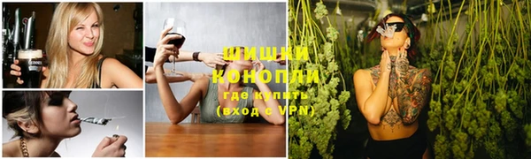 СК Инта