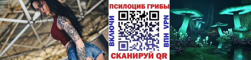 KRAKEN зеркало  Назрань  Псилоцибиновые грибы GOLDEN TEACHER 
